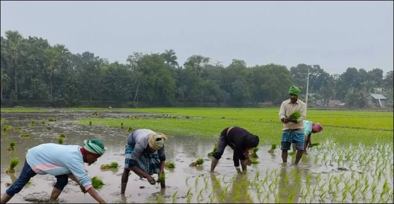 Kushtia farmers upset over canal blockage, fear permanent waterlogging 