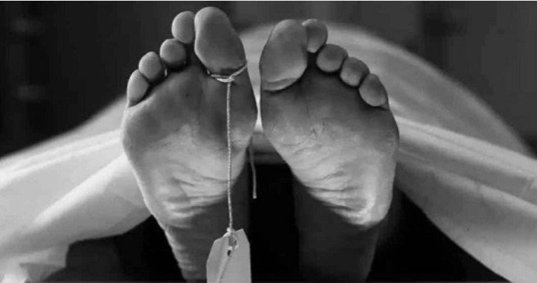 Van driver killed after being hit by truck in Jurain