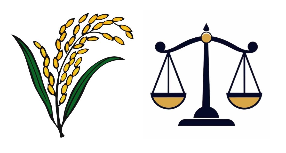 BNP wins 49.97% vote share, Jamaat 31.76%: EC