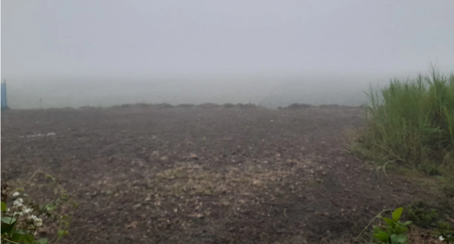 A touch of winter in Chaitra: Dense fog blankets Faridpur, Onion farmers worried