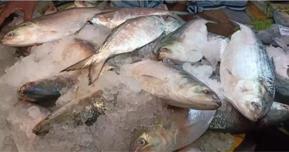 Chicken, Hilsa get pricier ahead of Pahela Baishakh