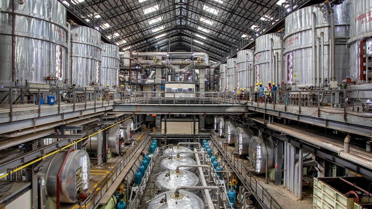 Govt move to reopen closed sugar mills hailed