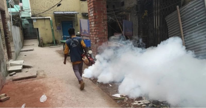 Dengue becomes another health emergency amid measles crisis