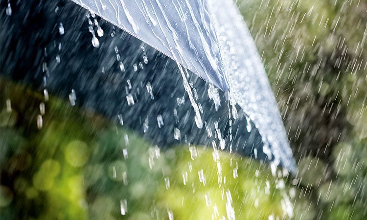 Rainfall likely to increase over next five days