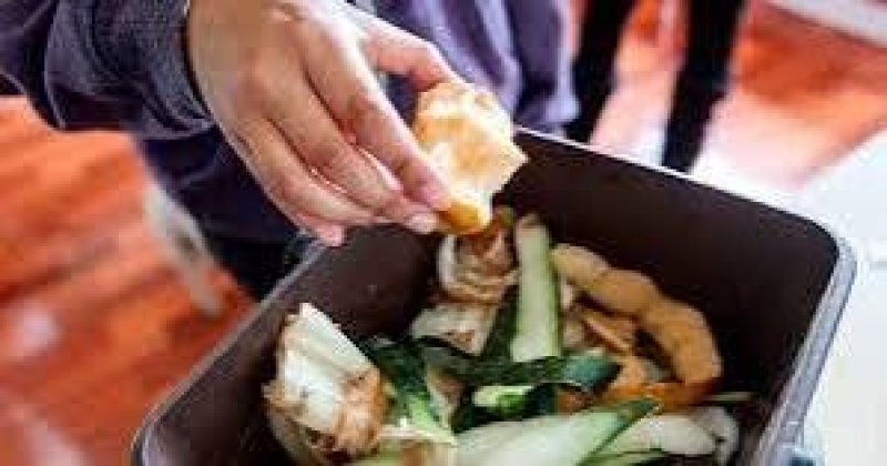 Bangladesh wastes 3.5mn tonnes of food annually: State minister