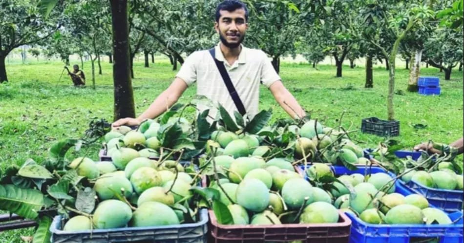 Haribhanga harvest boosts Northern Bangladesh economy