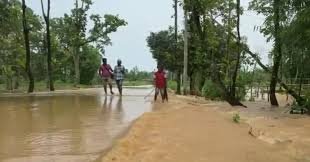 Flash flood likely in low-lying areas of 5 districts: FFWC