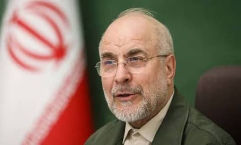 Iranian team arrives in Switzerland for US talks: Bern