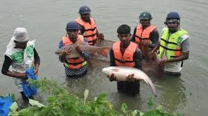 Fisheries research must be more innovative, action-oriented