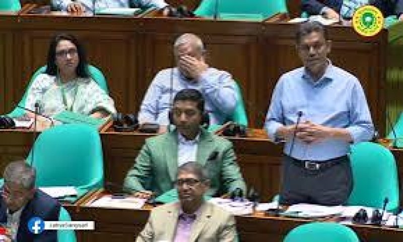 Proposed budget a bold plan for building new Bangladesh: Whip Bakul