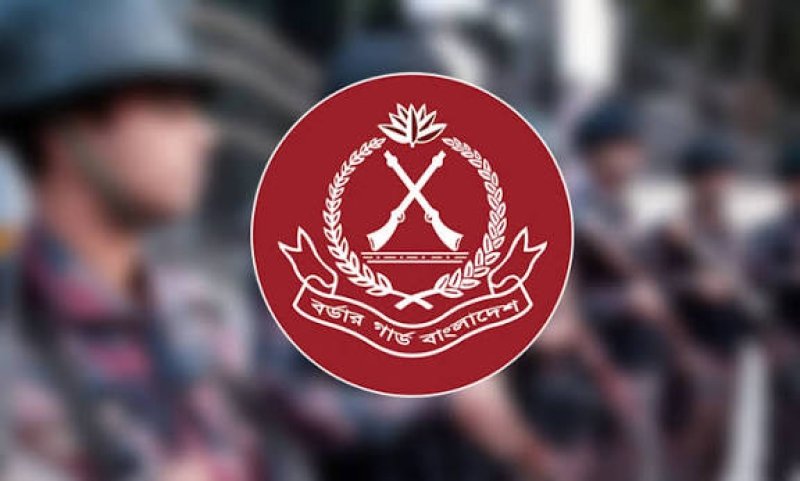 BGB seizes smuggled goods worth Tk 14.13 cr