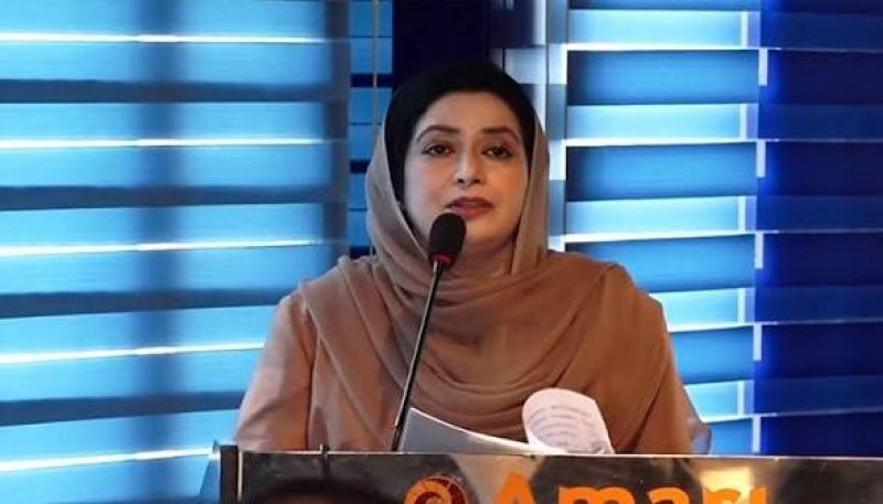 Govt working to identify gaps in health sector: Dr Zubaida