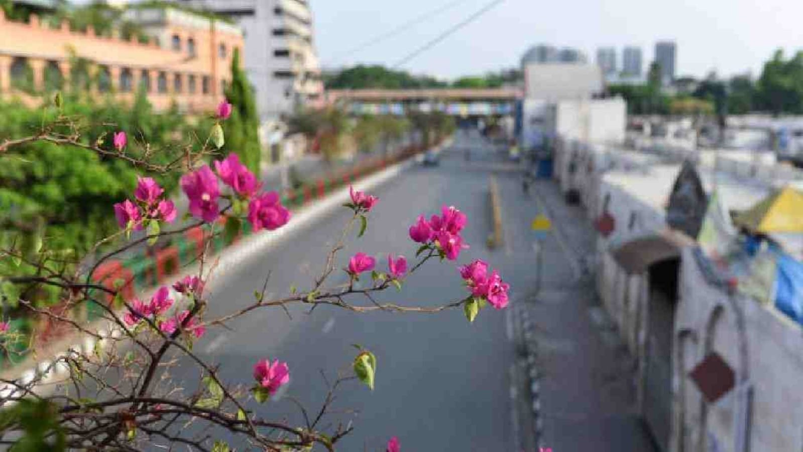 Rain Improves Dhaka Air Quality to 'Moderate'