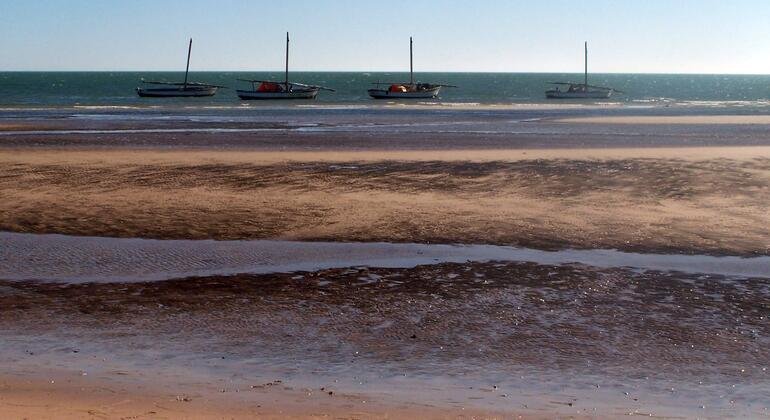 144 feared dead or missing off Mauritania coast