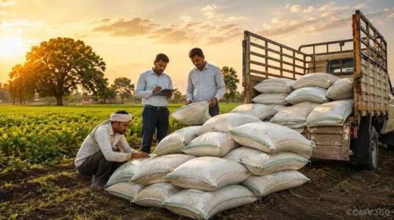 380 bags of DAP fertiliser seized in Thakurgaon