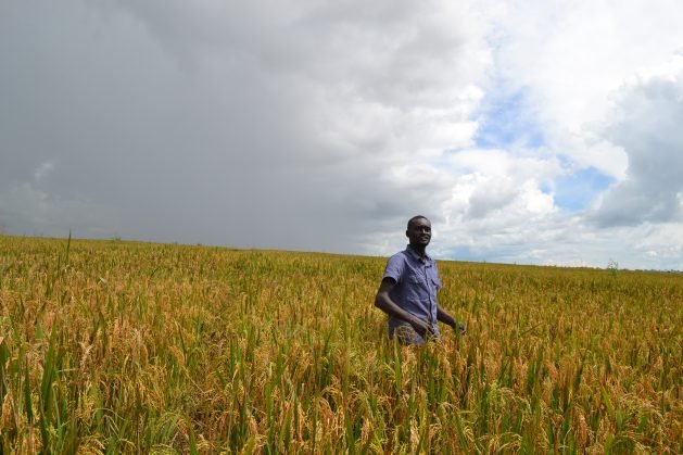 World hunger declines, but risks still loom ahead