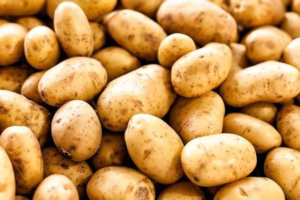 Sri Lanka shows interest in importing potatoes from Bangladesh