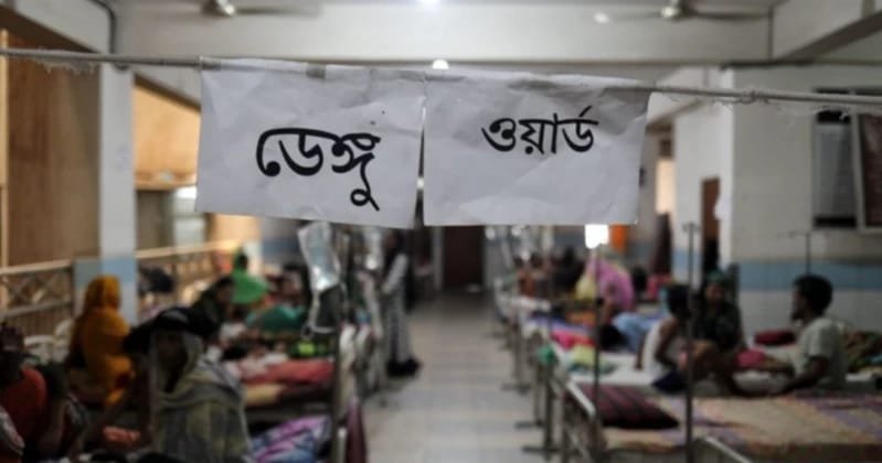 79 dengue deaths reported in first 17 days of September