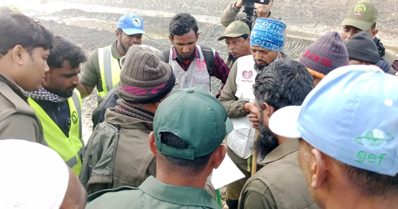 Tiger trapped in poachers’ snare in Sundarbans; rescue operation underway